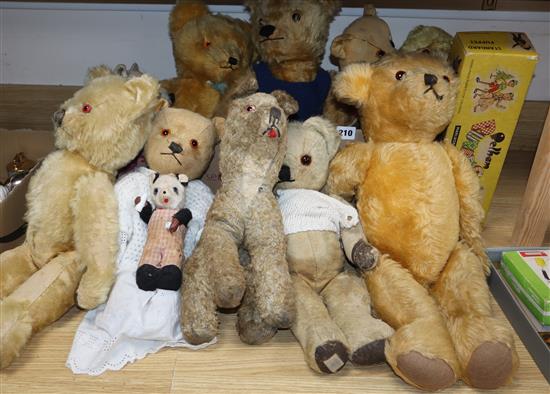 A group of Teddy bears etc.